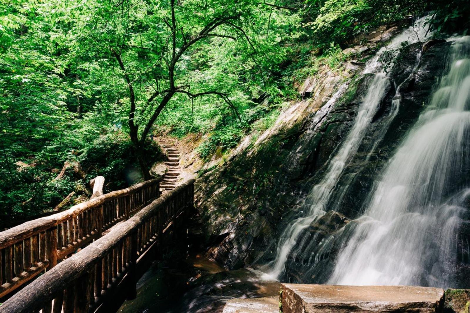 Hidden Star Hideaway-Blackberry Farm-Smoky Mtn Nat Park-Hot Tub- Fire Pit- Fenced Yard- Pet Friendly Walland Exterior photo